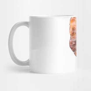 Crazy Lace Agate Mug